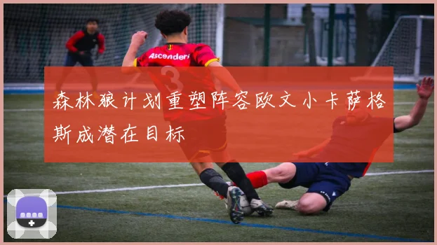 森林狼计划重塑阵容欧文小卡萨格斯成潜在目标
