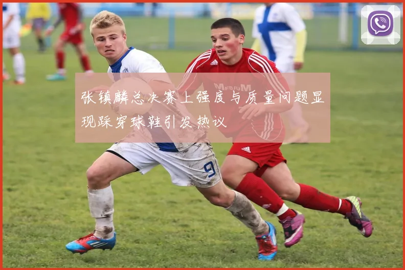 张镇麟总决赛上强度与质量问题显现踩穿球鞋引发热议
