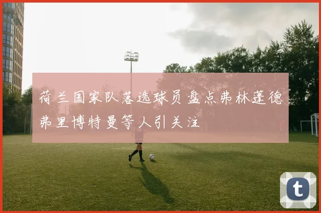 荷兰国家队落选球员盘点弗林蓬德弗里博特曼等人引关注