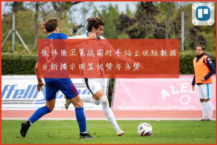 张伟丽卫冕战前对手站立攻防数据分析揭示明显优势与劣势